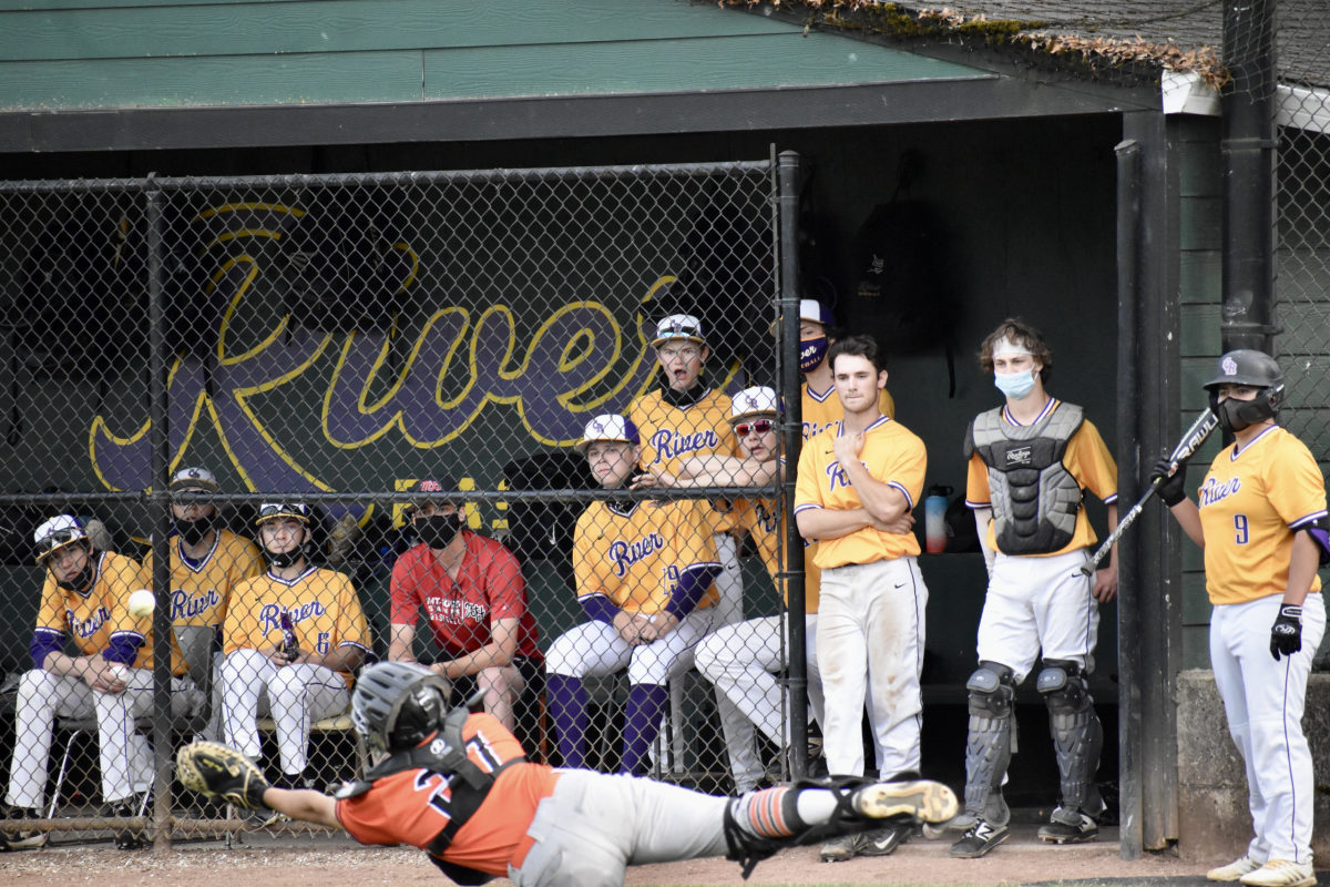 Columbia River's dugout reacts to Washougal's catcher making a diving catch.
